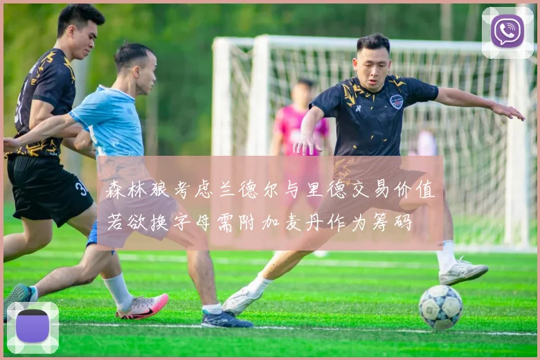 森林狼考虑兰德尔与里德交易价值若欲换字母需附加麦丹作为筹码