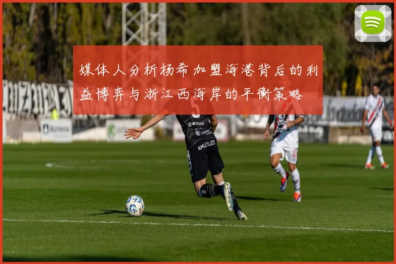 媒体人分析杨希加盟海港背后的利益博弈与浙江西海岸的平衡策略