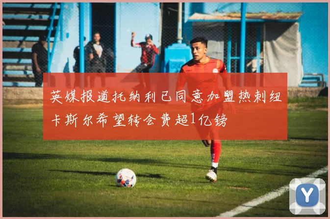 英媒报道托纳利已同意加盟热刺纽卡斯尔希望转会费超1亿镑