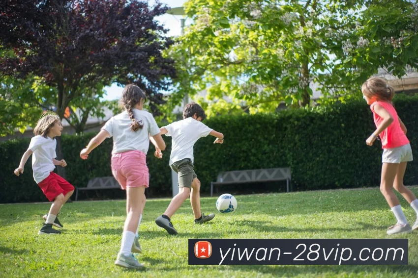 平台展示图